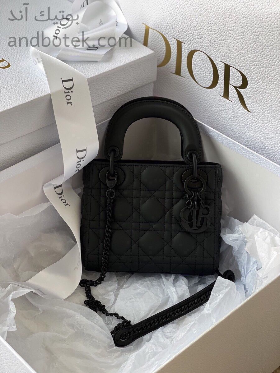 DIOR106